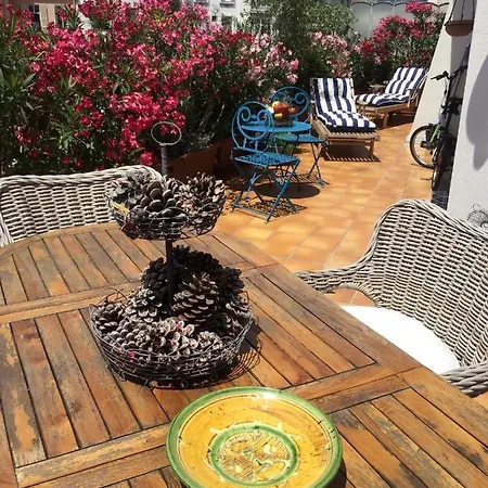 Centre Terrasse Ensoleillee 公寓