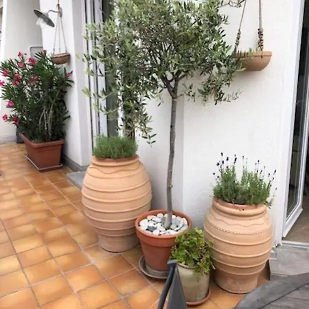 Appartement Centre Terrasse Ensoleillee