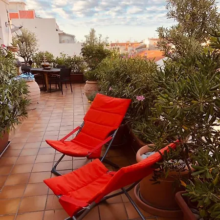 Centre Terrasse Ensoleillee *